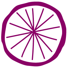 Les filles à vélo