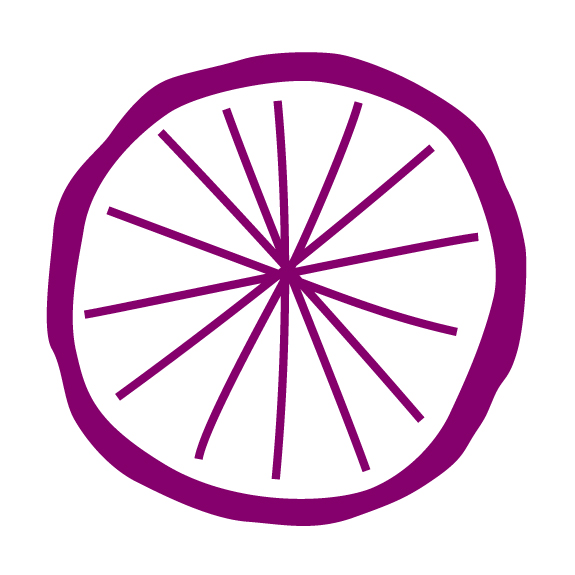 Les filles à vélo